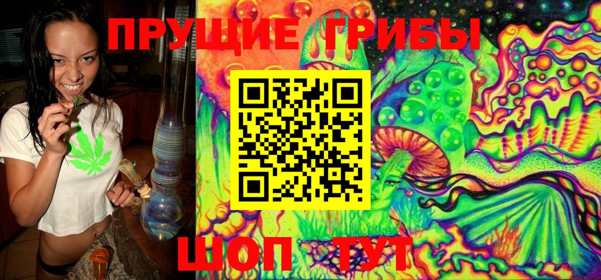 наркотики  Псилоцибиновые грибы Cubensis  Вход с VPN  Назрань 